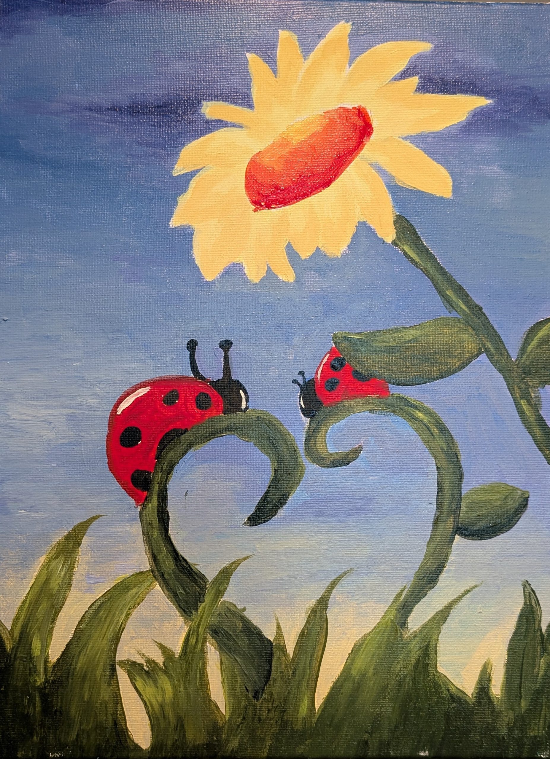 Hello Lady Bug